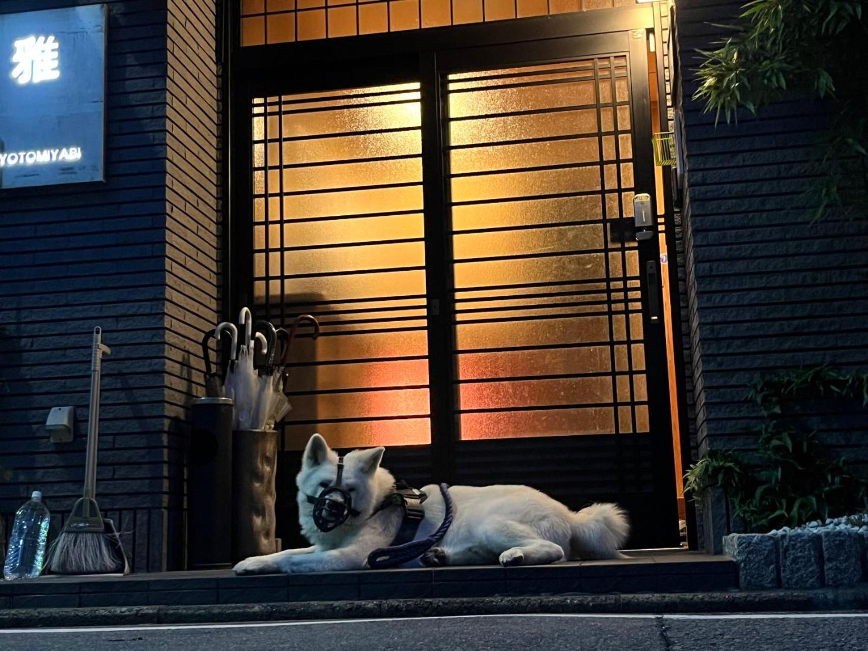 Hotel 雅 à Kyoto Extérieur photo